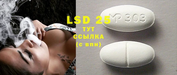 прущие грибы Балабаново