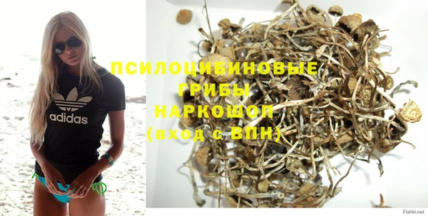 прущие грибы Балабаново