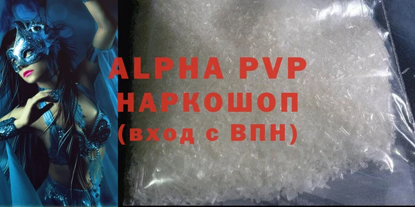 прущие грибы Балабаново