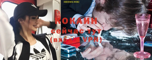 прущие грибы Балабаново