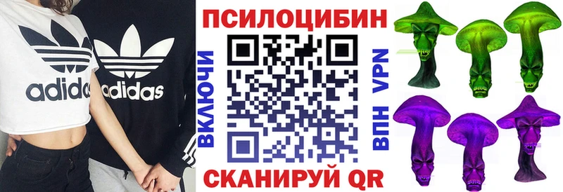 наркошоп  Бирюсинск  Псилоцибиновые грибы Psilocybe 